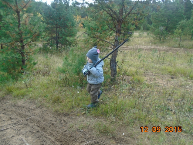 Снова о погоде, природе, ручье и чуть-чуть о грибах....