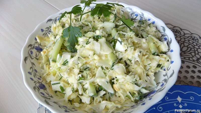 Салат из свежей капусты с огурцом рецепт с маслом фото пошаговый