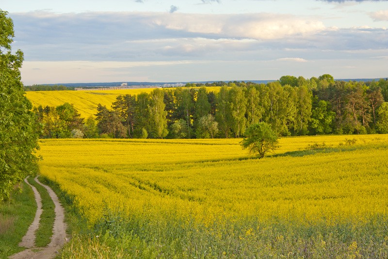 БОЛТАЛКА