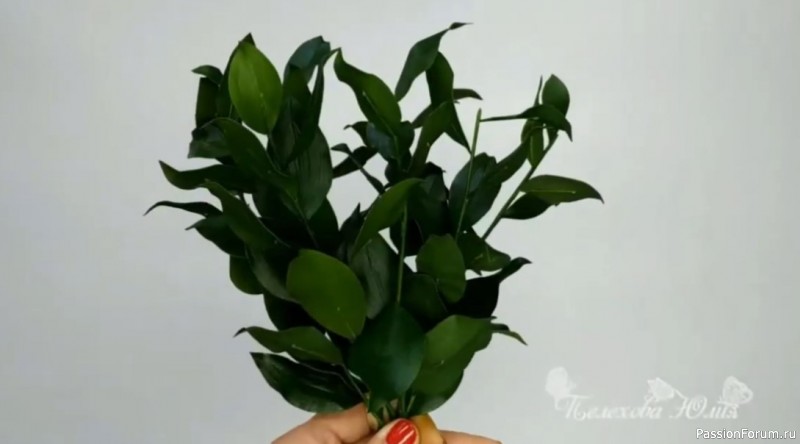 Ветки Рускус из фоамирана. Видео МК