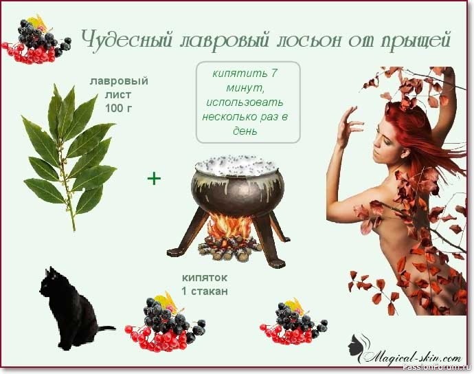 Лавровый лист от прыщей