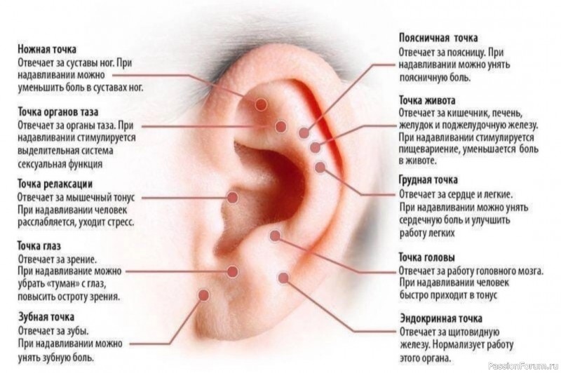 Массаж ушей — здоровье всего тела