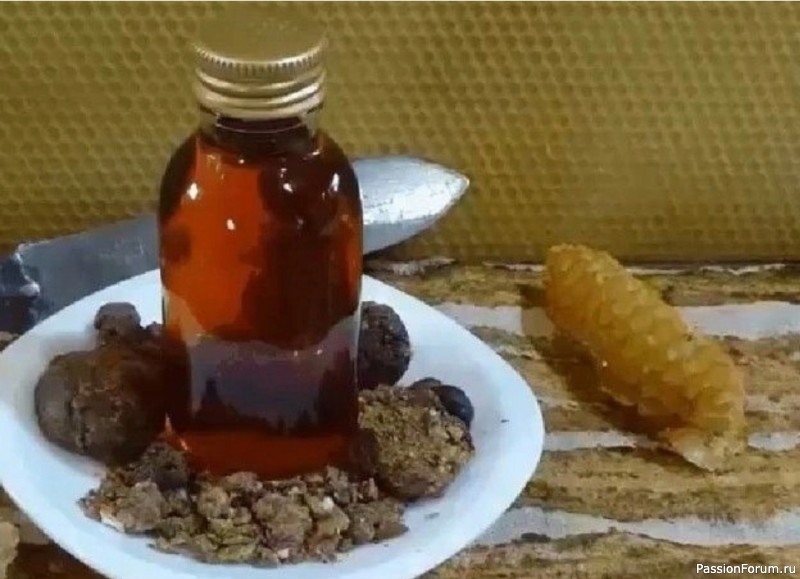 Прополис от всех болезней