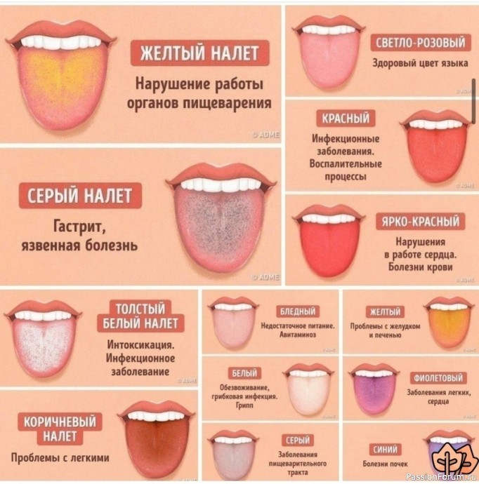 Оттенки языка