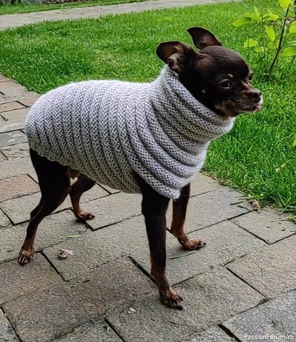 Уютный и теплый свитер "Гусеница" для собак и кошек. Описание