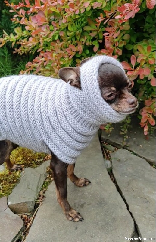Уютный и теплый свитер "Гусеница" для собак и кошек. Описание