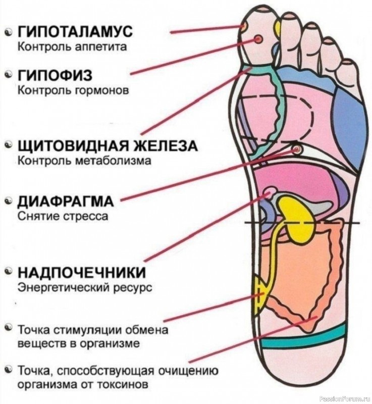 7 Активных точек на стопе