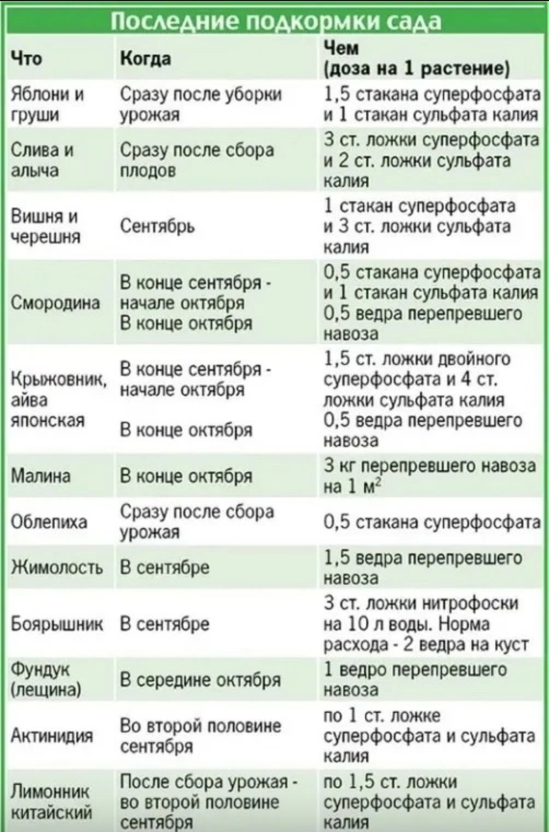 Список дач. Таблица весенней подкормки плодовых деревьев. Схема подкормки плодовых деревьев и кустарников. Таблица внесения удобрений для плодовых деревьев. Таблица подкормок плодовых деревьев и кустарников.