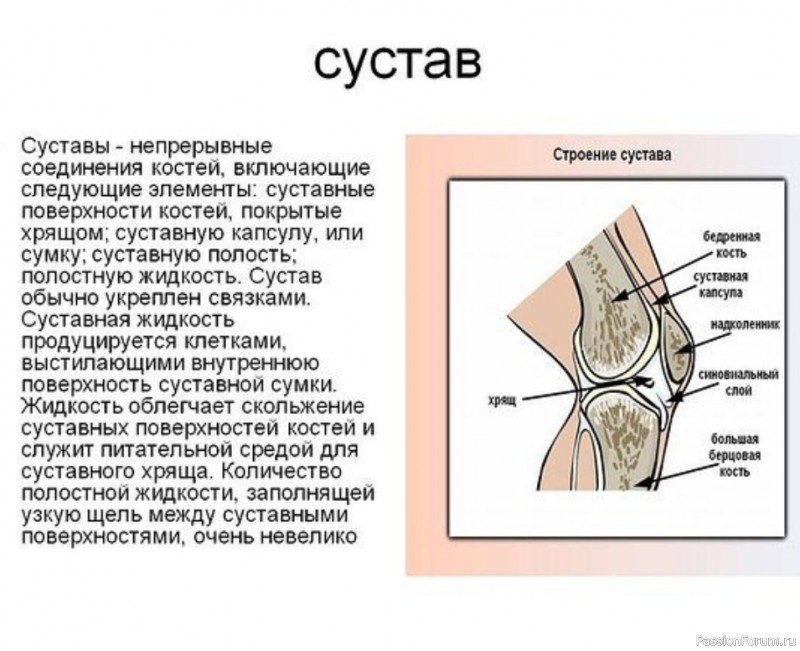 7 мифов о боли в суставах