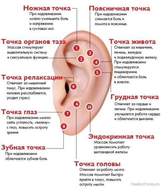 Массаж ушей — залог здоровья всего тела.