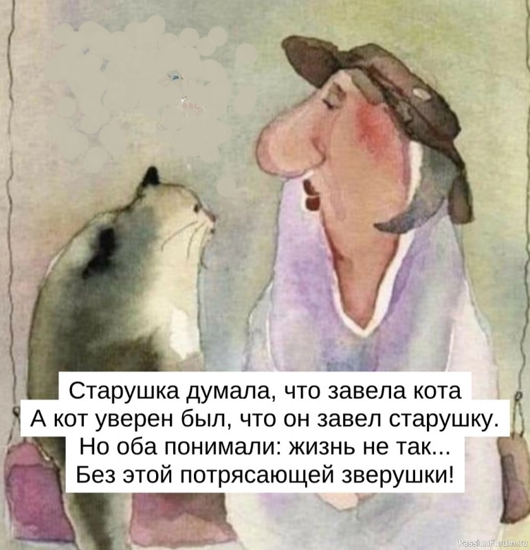 О котиках с юмором и любовью