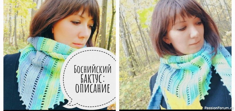 Боснийский бактус. Схема