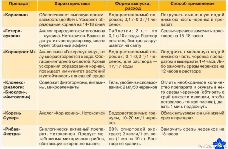 Анальный стимулятор фото