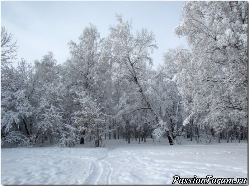 Шутник февраль