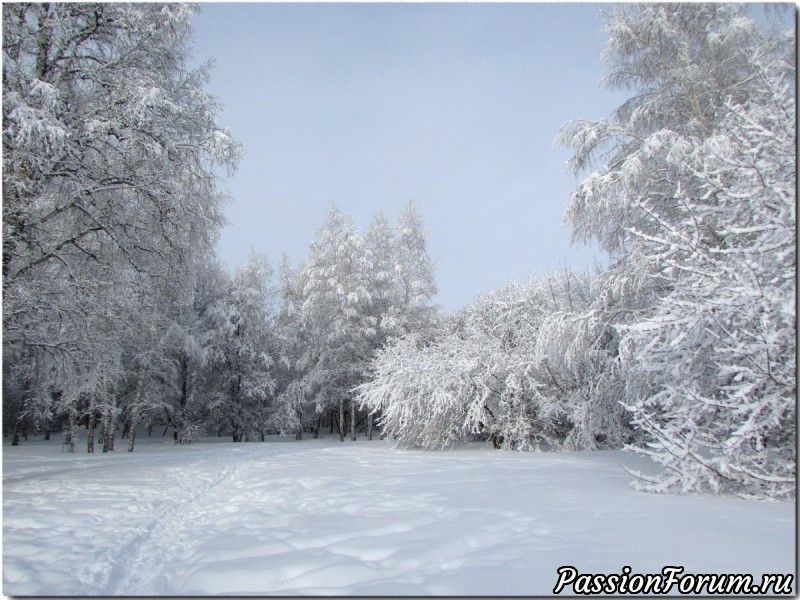 Шутник февраль