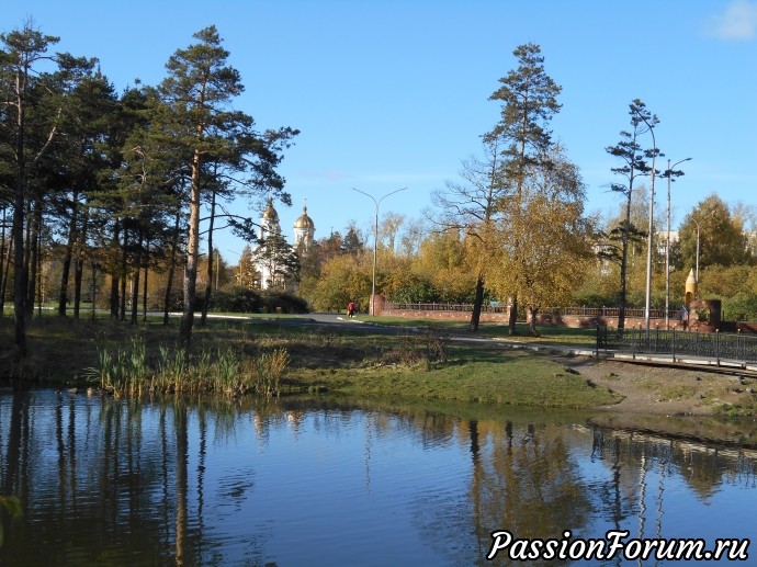 Золотая осень в городском парке ( Нижний Тагил)