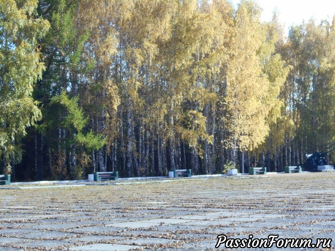 Золотая осень в городском парке ( Нижний Тагил)