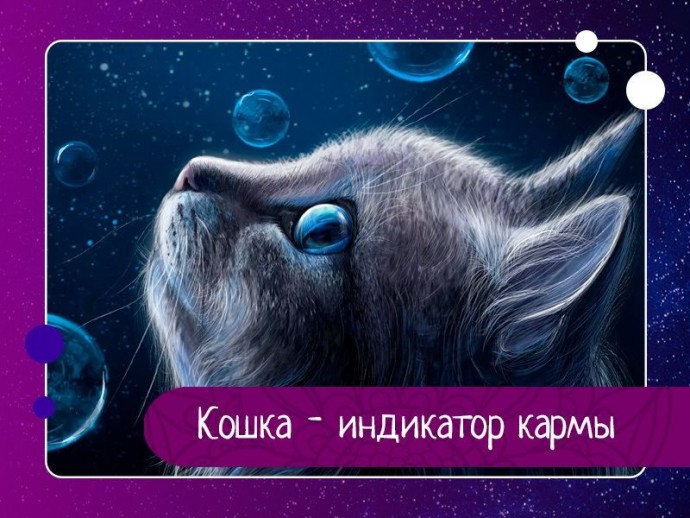 Кошка - индикатор кармы