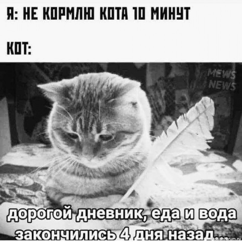 Дневник КОТЭ.