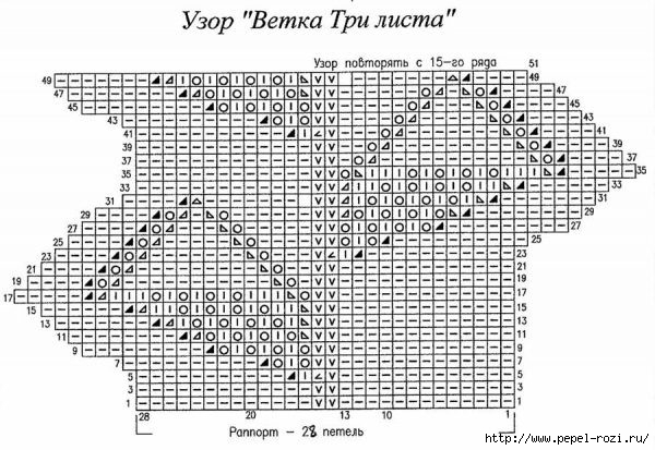 ​Красивый узор с листьями на ветке!