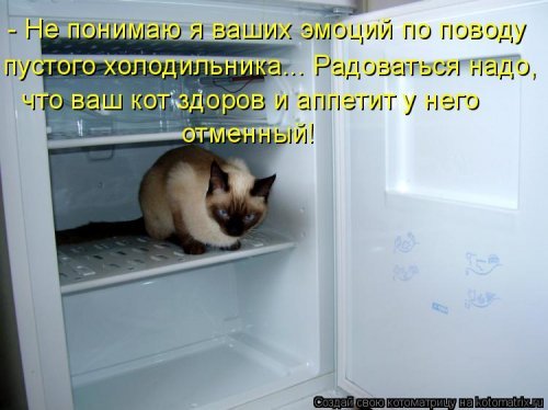 Весёлая котоматрица. Картинки про кошек