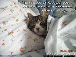 Без кота и жизнь не та!