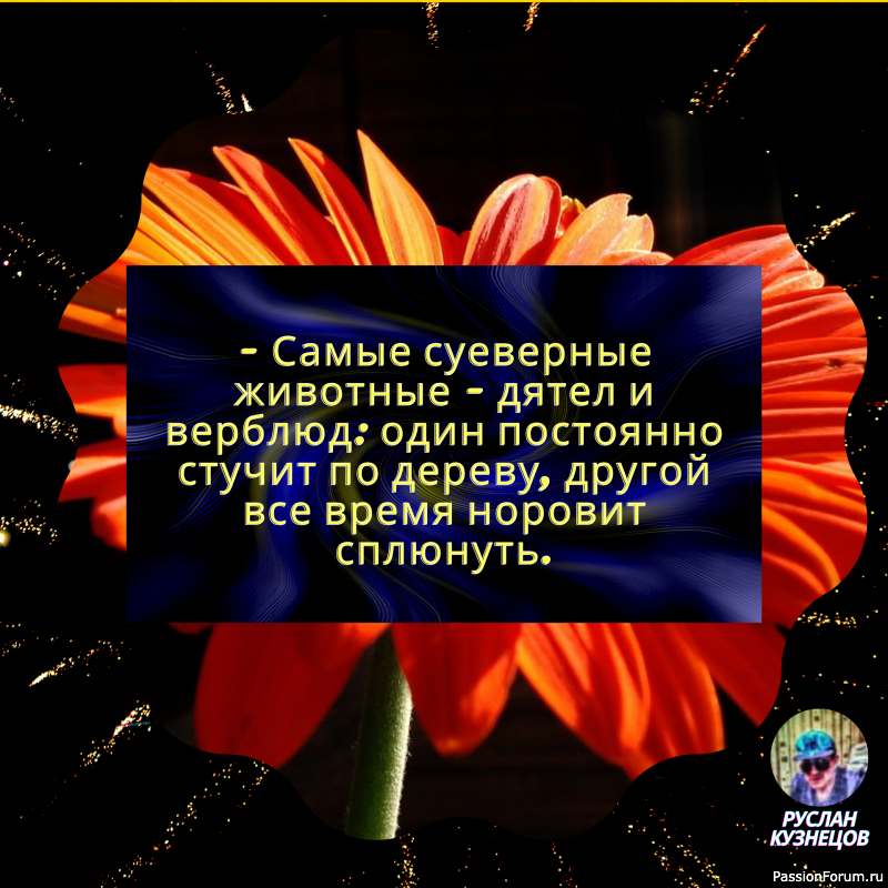 Ум — это хлеб, который удовлетворяет голод, шутка — это специя, которая вызывает аппетит.