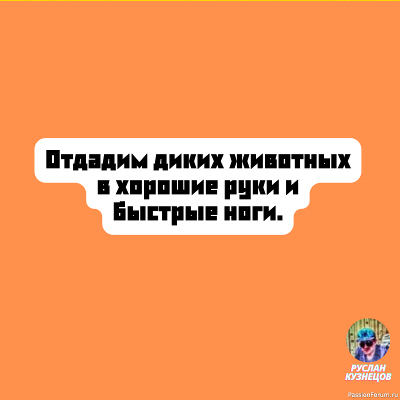 Лесть похожа на туалетную воду, которой лучше побрызгаться, а не пить. (Джош Биллингс)