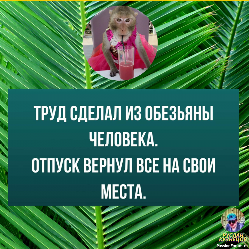 Все, что Вам нужно, это –Юмор!!!!!!!!!!!!!!!!!!!