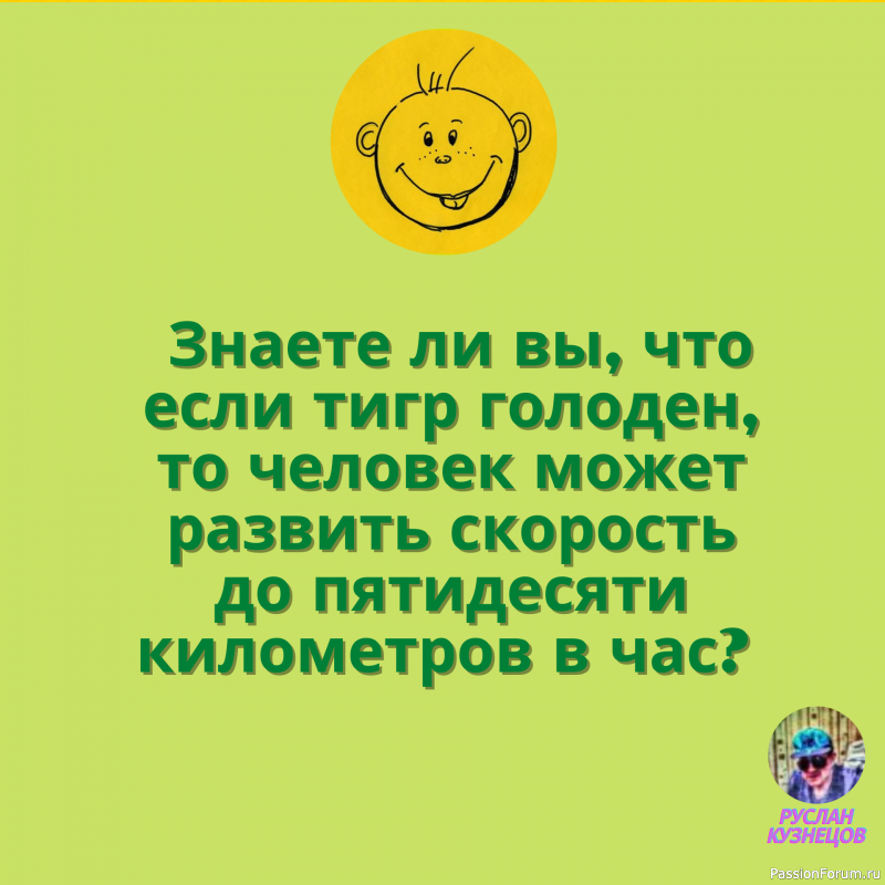 Если вы хотите, чтобы жизнь улыбалась вам, подарите ей сначала свое хорошее настроение.