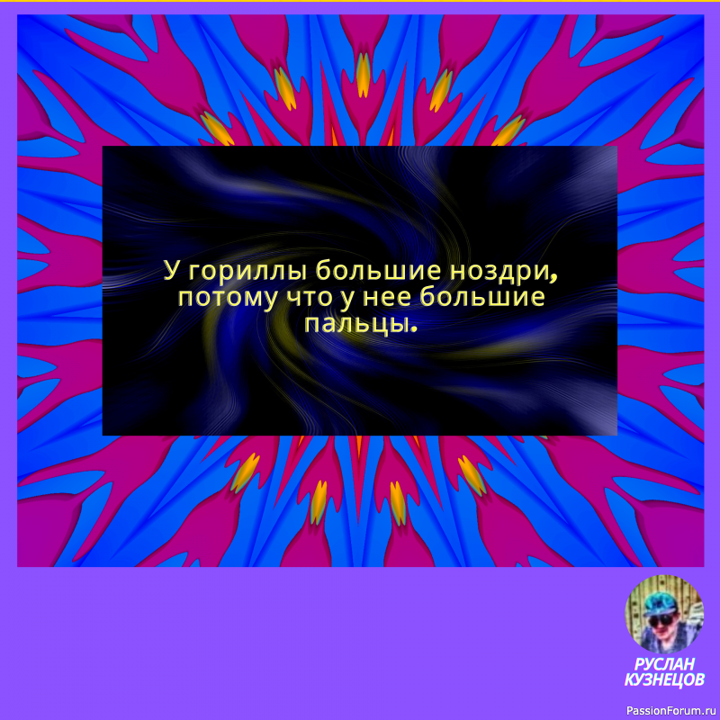 Юмор, что «солнечный зайчик», одним поднимает настроение, других слепит.