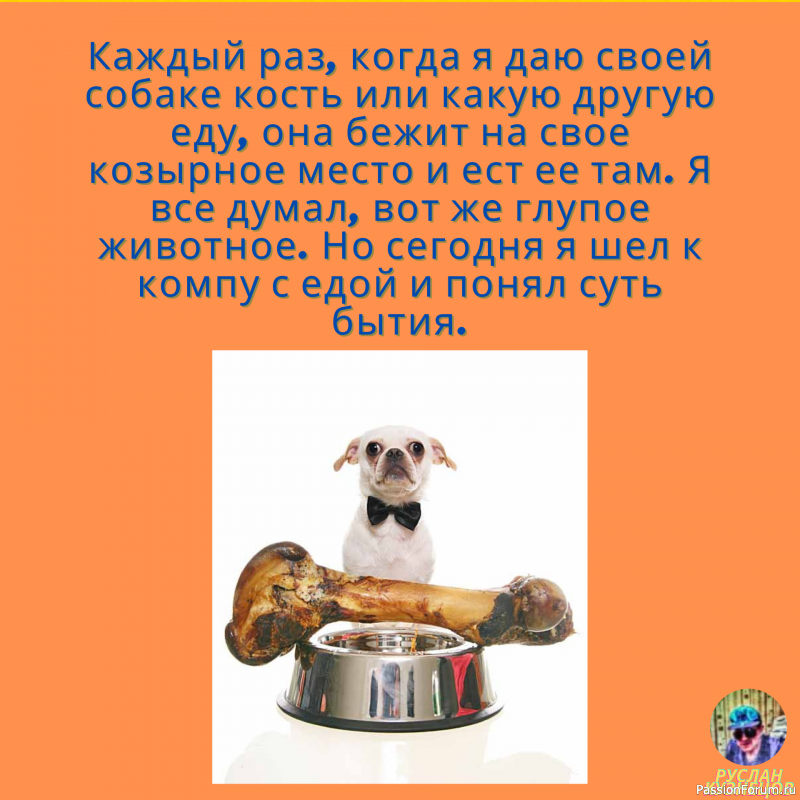 АнЕкДоТы С кАрТиНкАмИ ☜═㋡