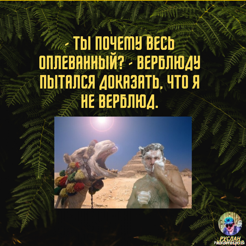 Смех от счастья - признак спокойствия и благополучия!!!