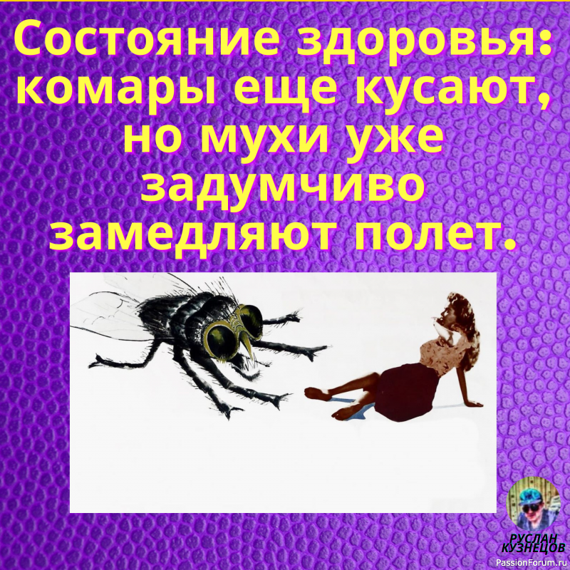 Юмор на каждый день, это просто прекрасно!!!!!!!!!!!!!