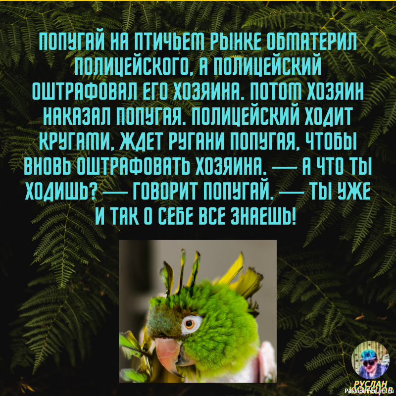 Смех от счастья - признак спокойствия и благополучия!!!