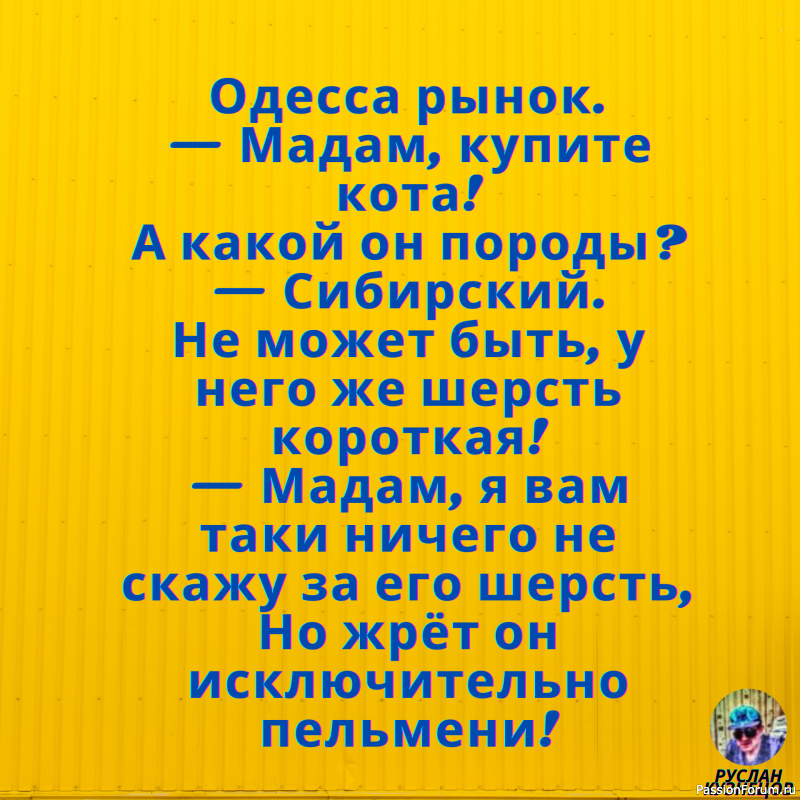 Радость это счастье!!! Юмор это жизнь!!!