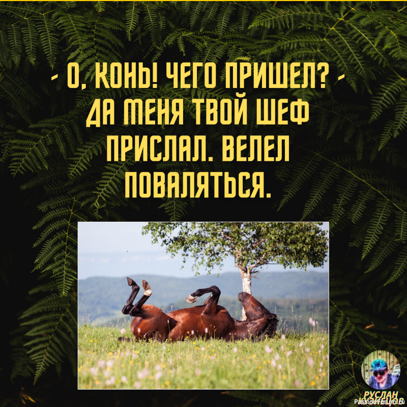 Смех от счастья - признак спокойствия и благополучия!!!