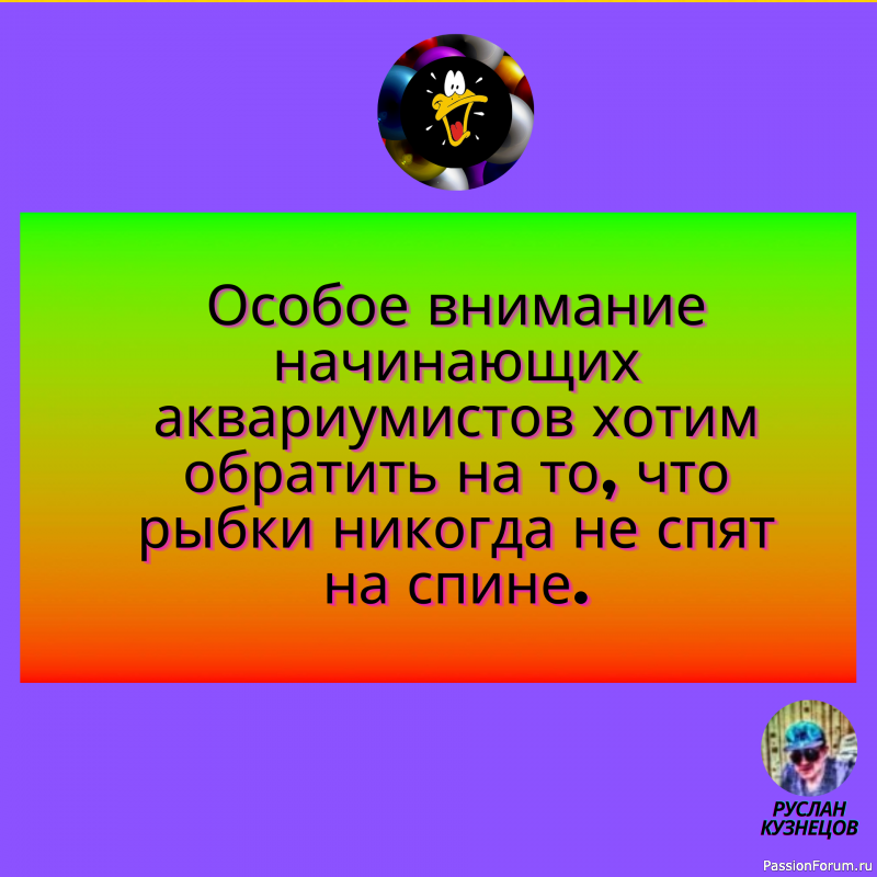 Улыбочка и всё будет прекрасно друзья мои!!!!!!!!!!!!!!!!!!!!!!!!!