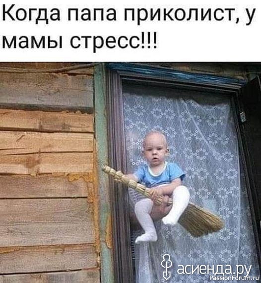 Смешные приписки к картинкам