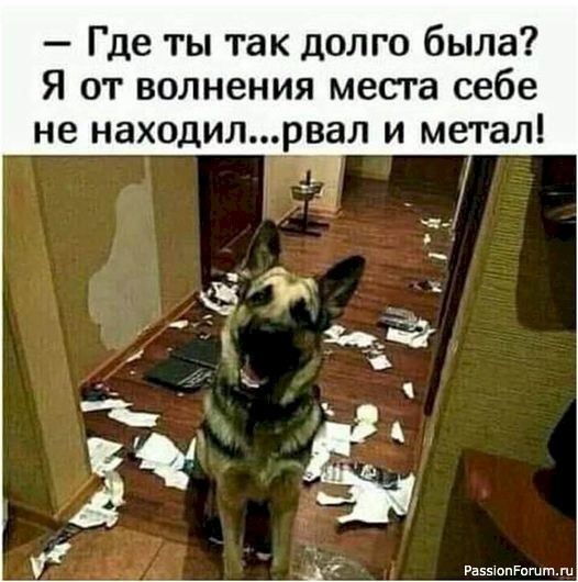 Посмеёмся...