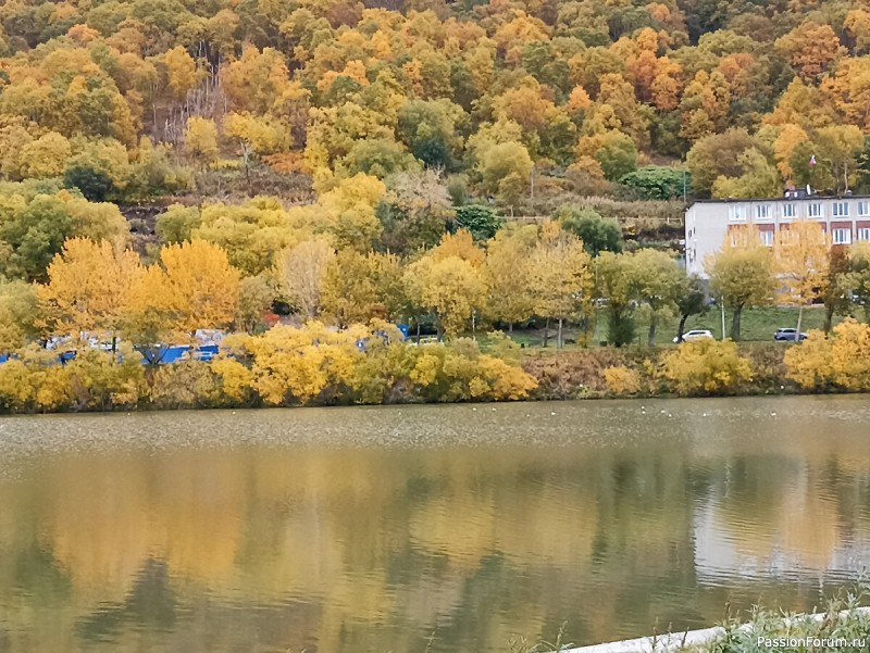 Наше путешествие в Петропавловск-Камчатский. Часть 3