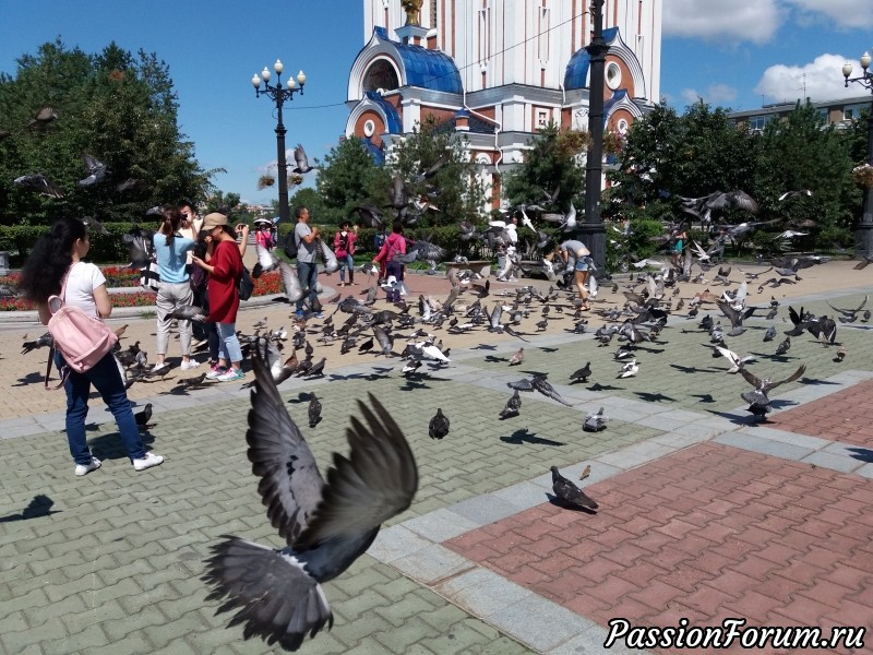 Прогулки по Хабаровску