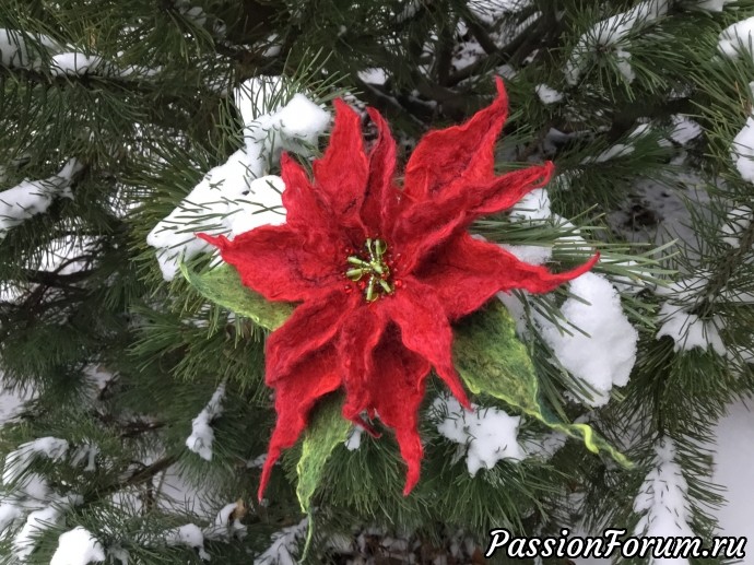 Новогодние валяшки. Poinsettia. Брошь.