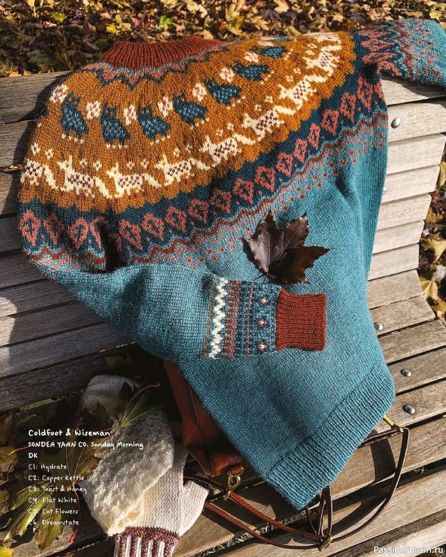 Вязаные проекты в книге «Knit Wild»