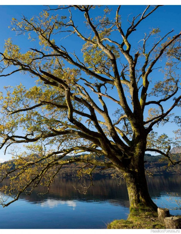 Вязаные проекты в книге «The West Highland Way»