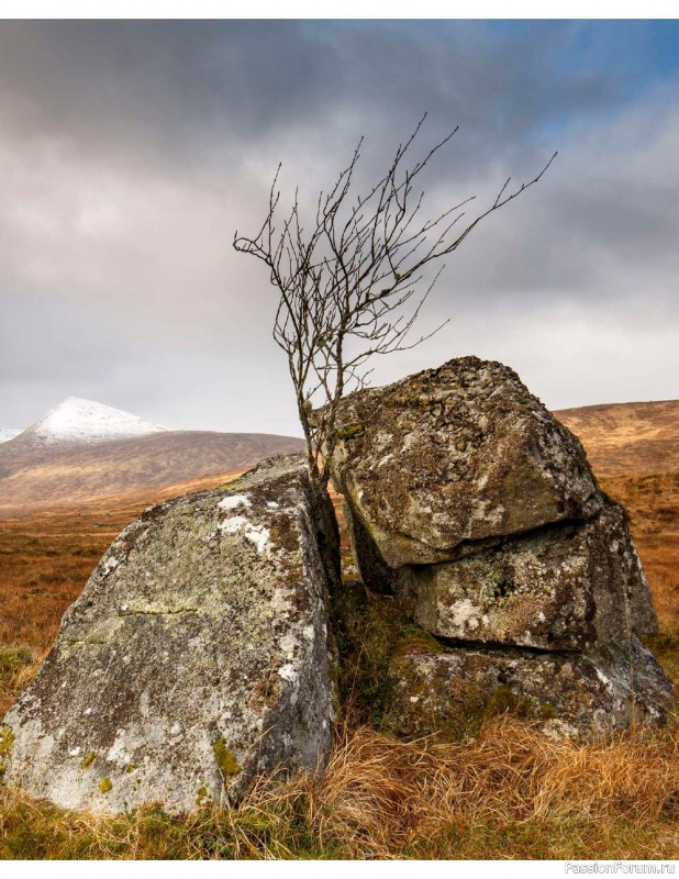 Вязаные проекты в книге «The West Highland Way»