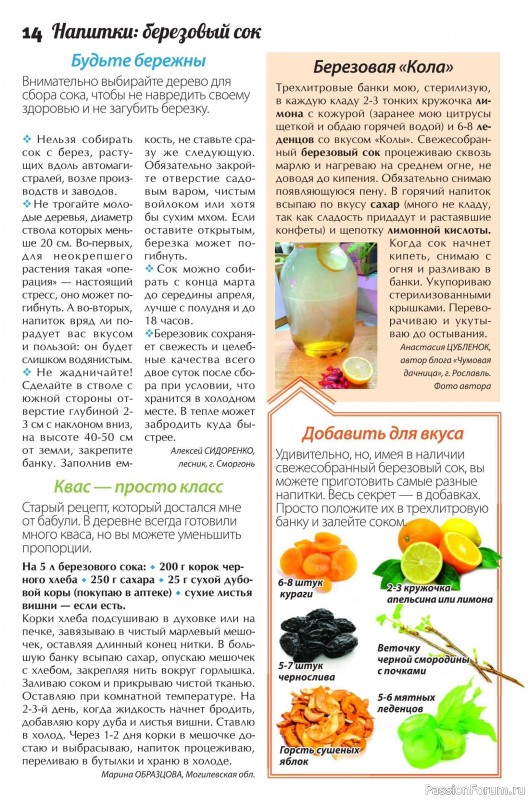 Коллекция кулинарных рецептов в журнале «Сваты. Заготовки №3 2025»