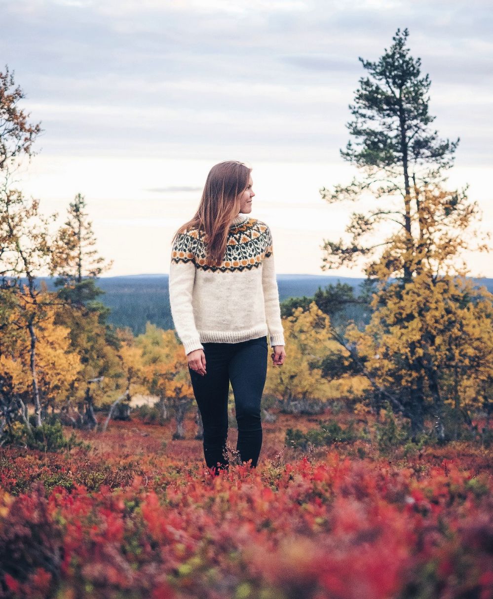 Коллекция вязаных моделей в книге «Icelandic Knits»