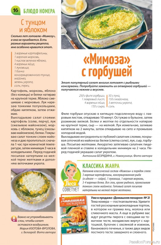 Коллекция кулинарных рецептов в журнале «Салат Салатыч №2 2025»