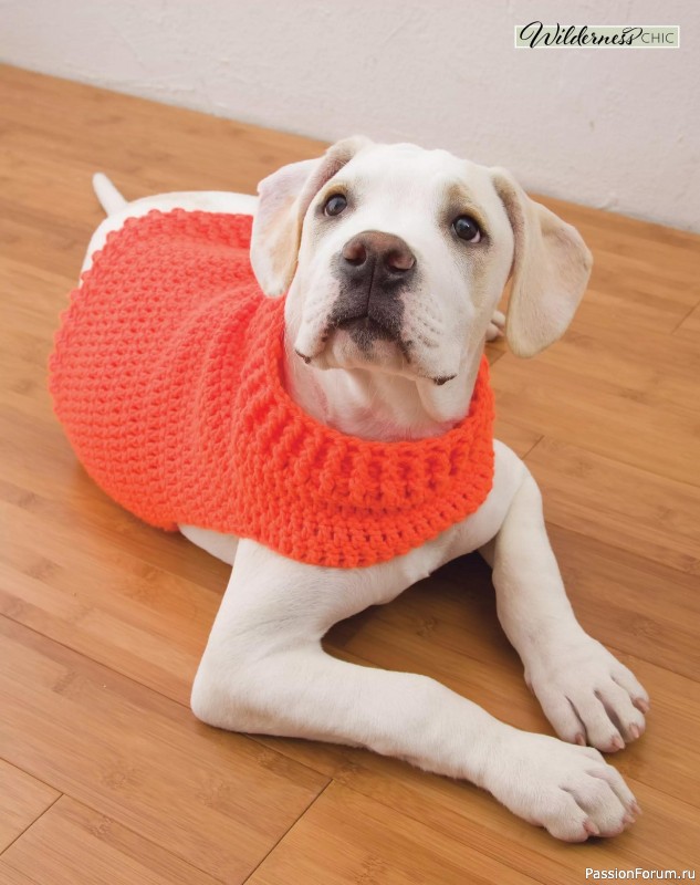 Вязаные проекты крючком в журнале «Crochet World - Autumn 2025»
